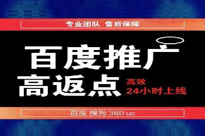 电商行业SEM运营的挑战与成功案例
